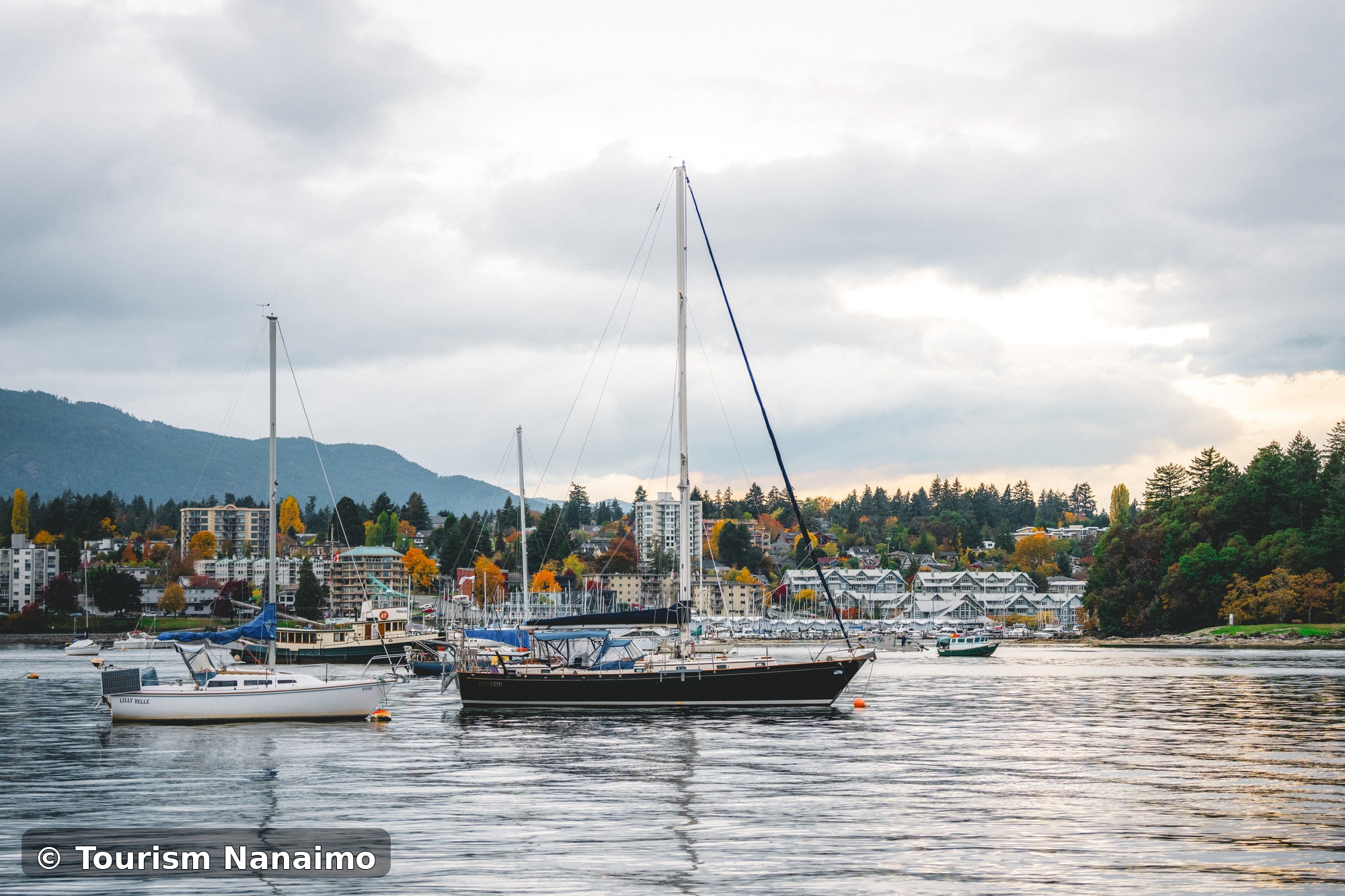 Nanaimo_photo_1_copyright